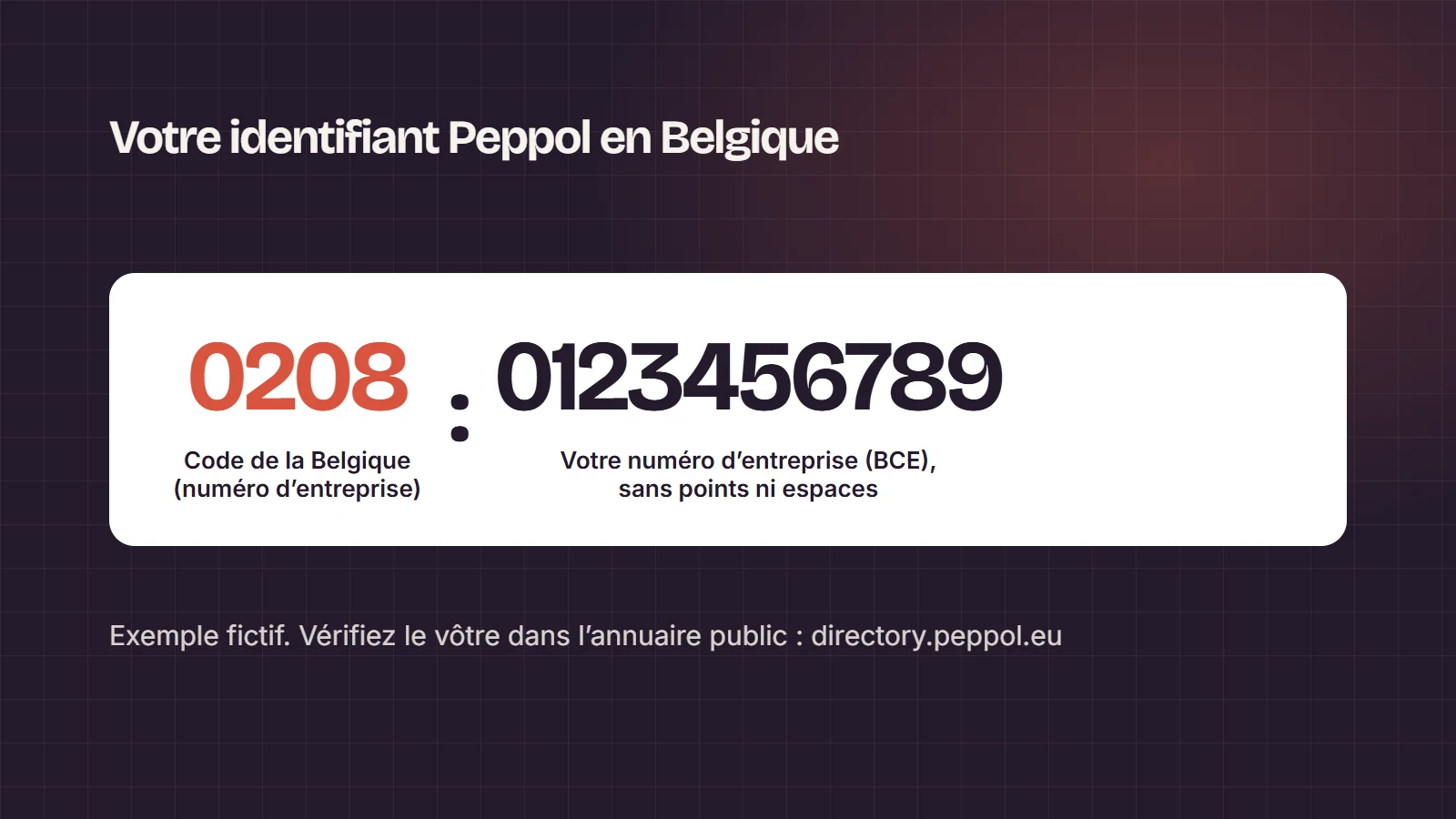 Exemple d’identifiant Peppol belge : 0208, deux-points, puis le numéro d’entreprise à dix chiffres